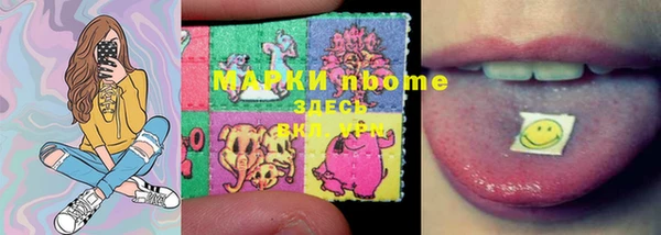 индика Абдулино