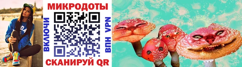 Псилоцибиновые грибы Psilocybe  купить наркотики цена  Киренск 